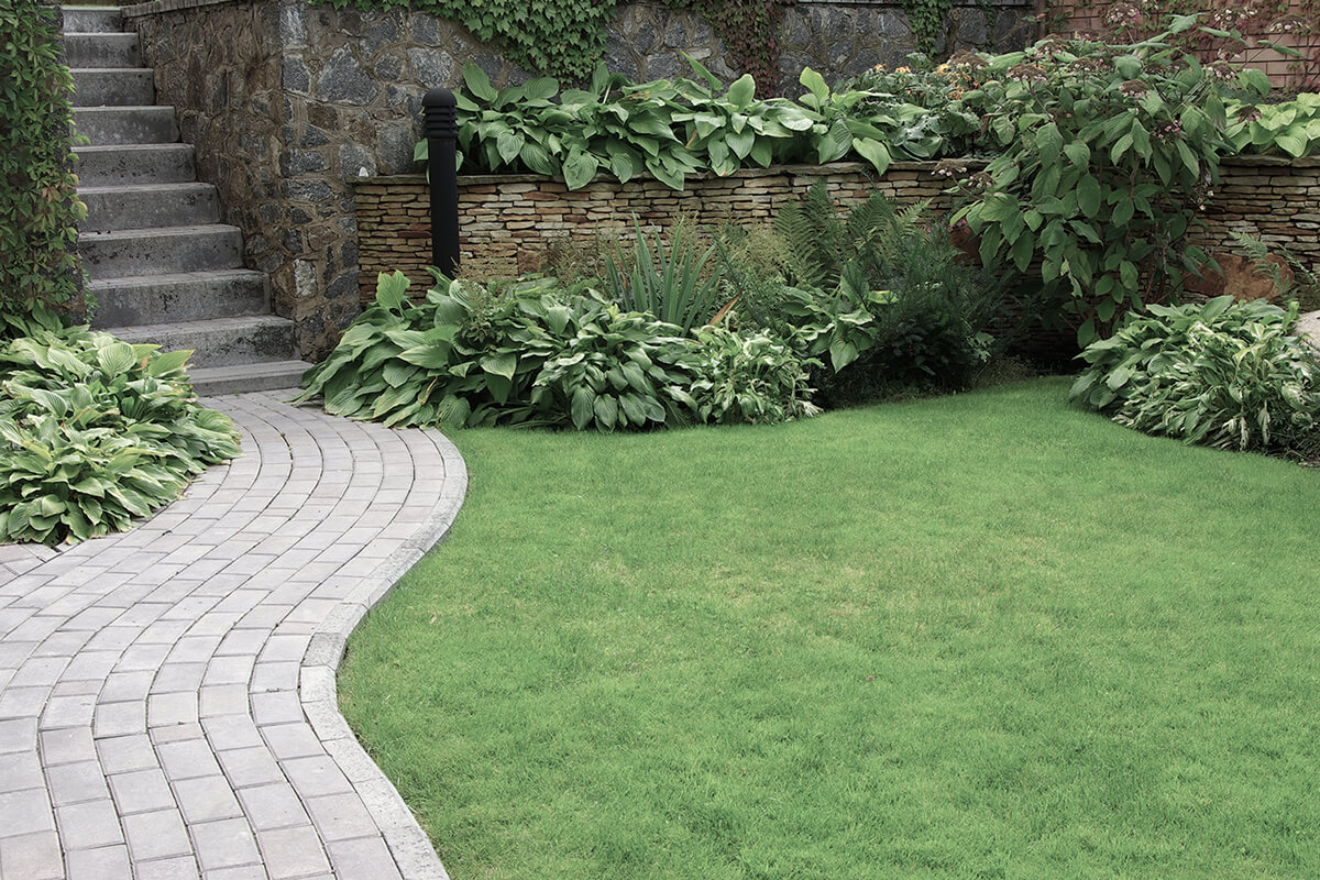 Welcome to LB Landscaping